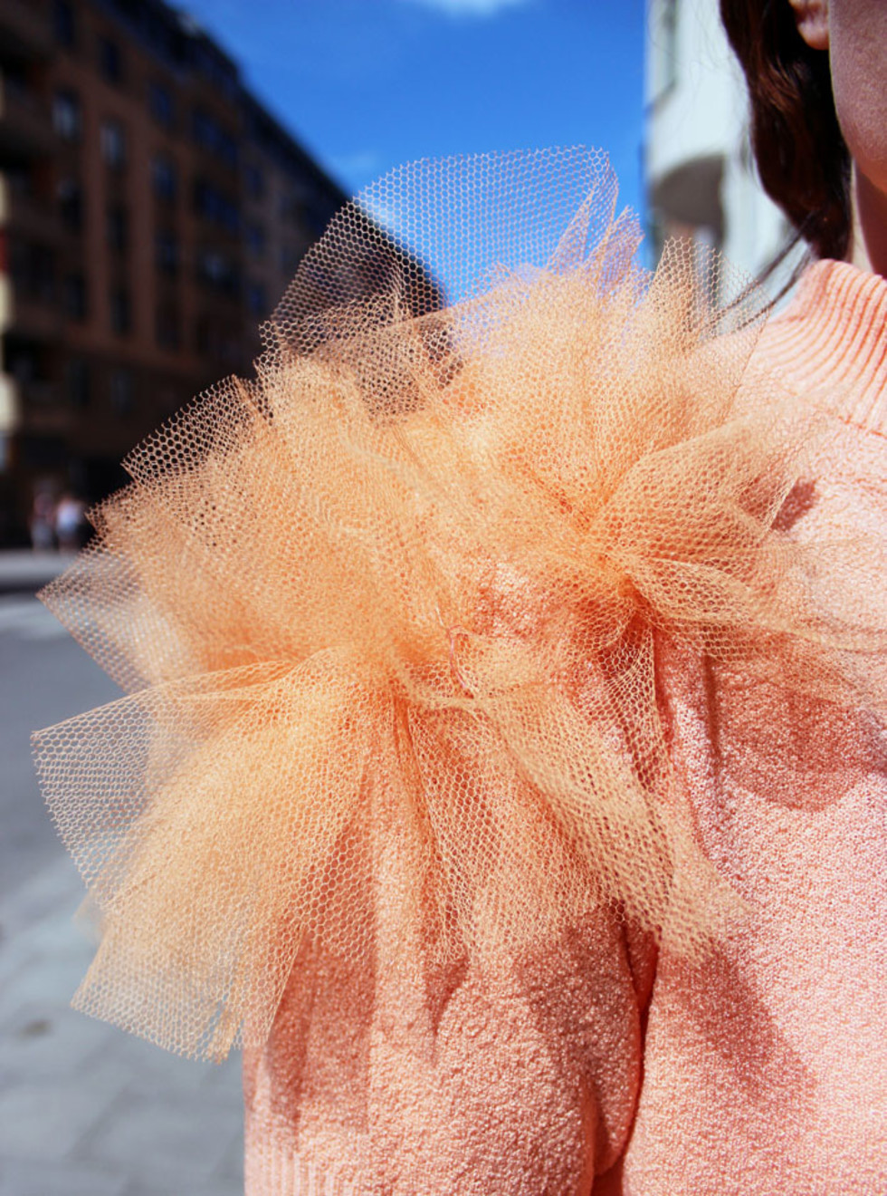 closeuptulle2_0.jpg