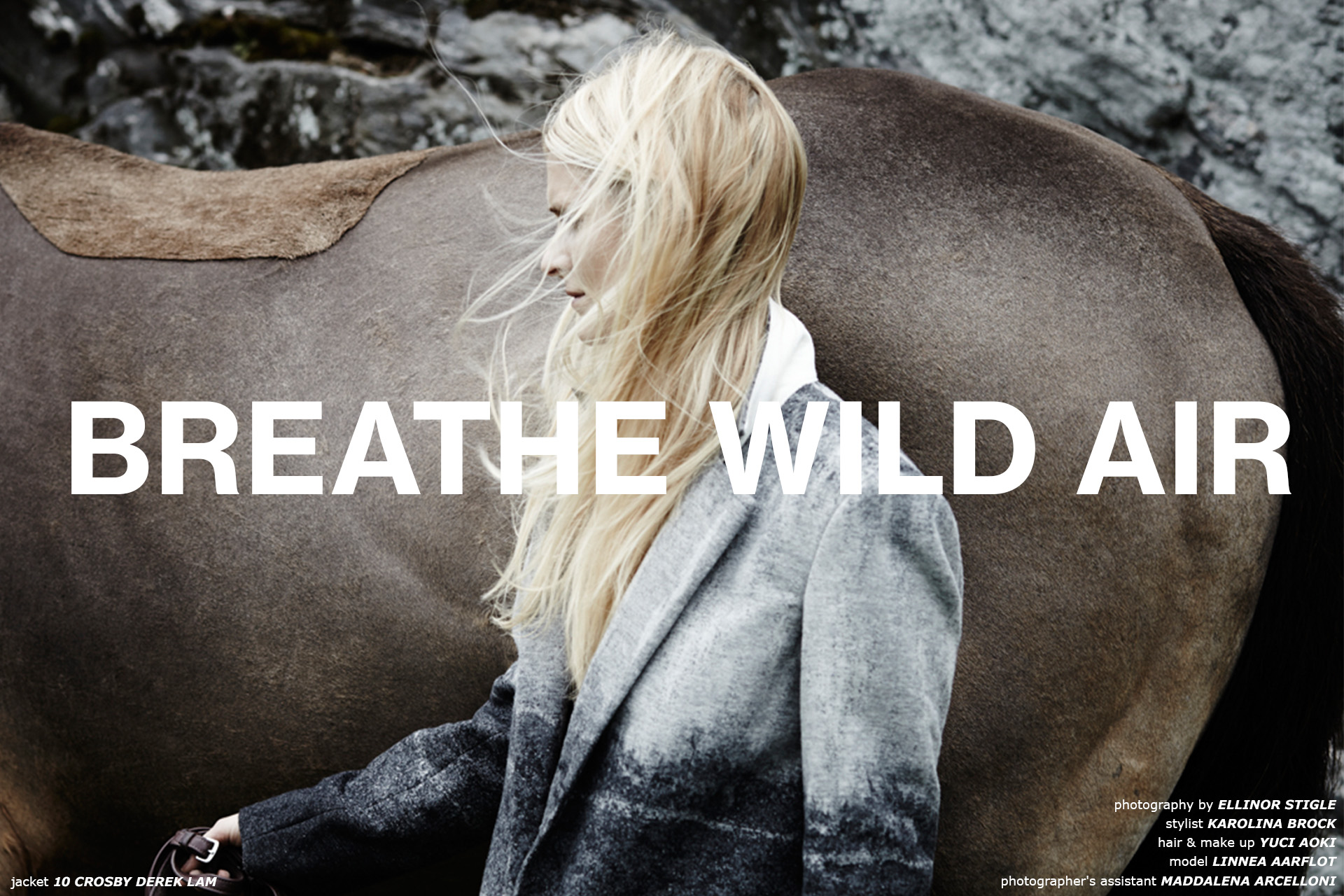 Breathe wild air | ODALISQUE DIGITAL