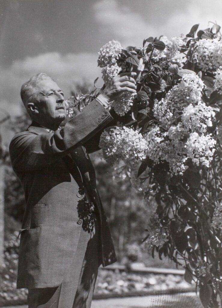 The Blooming: Art and Botany at Waldemarsudde