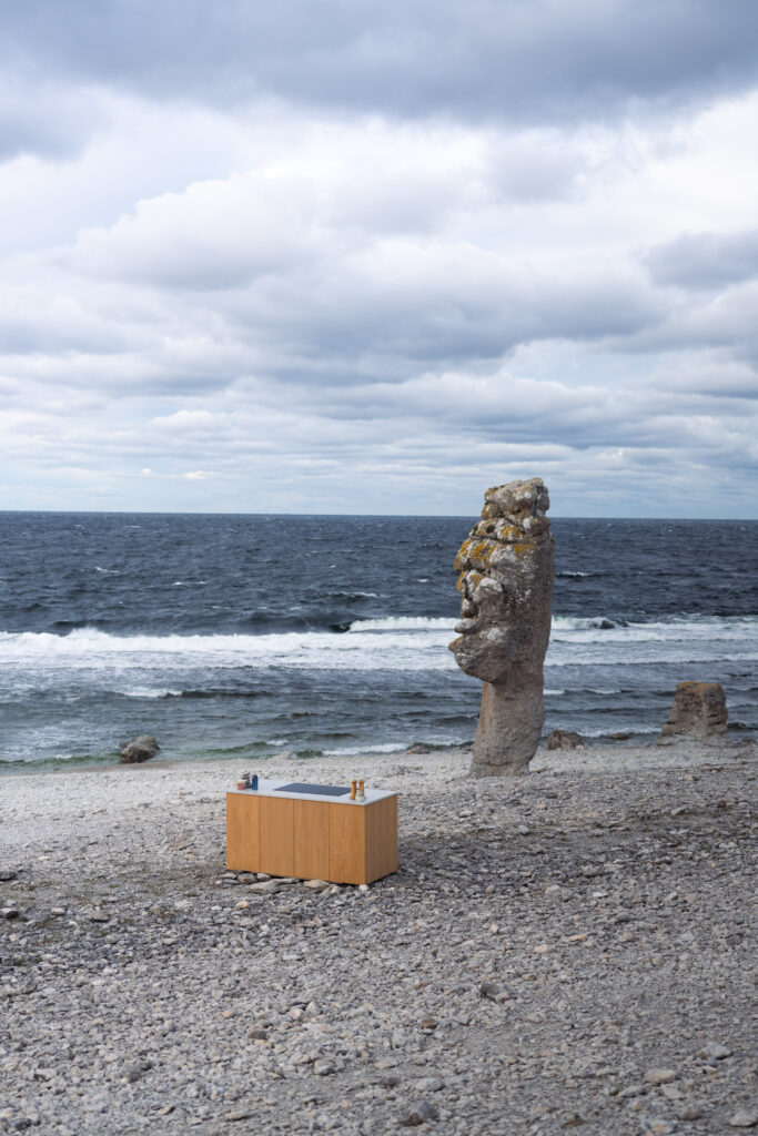 Electrolux: Rethinking the Swedish Home