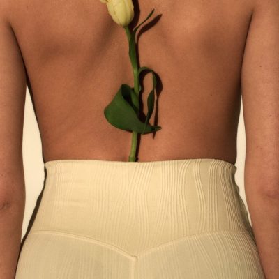 aim’n Launches “Tulip” – A Limited Edition Collection Inspired by Spring in Full Bloom