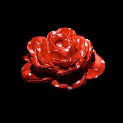 SAHCO 2024 COLLECTION: WILD BOUQUET